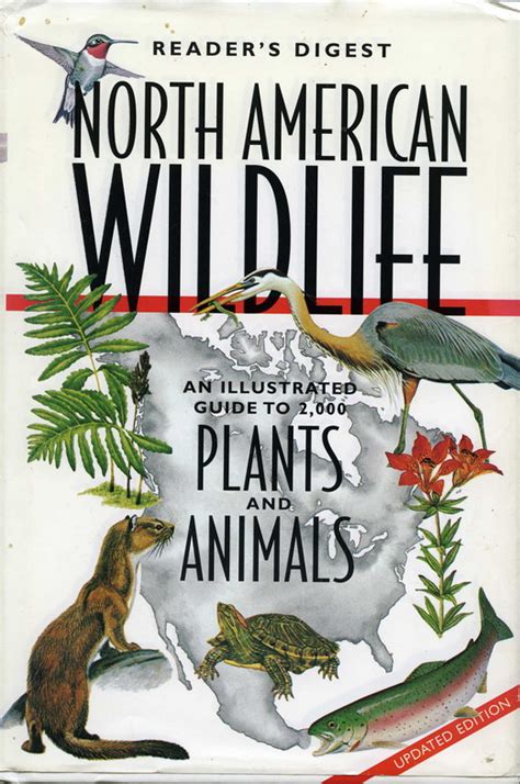 Wildlife Field Guides Mary Mcandrew