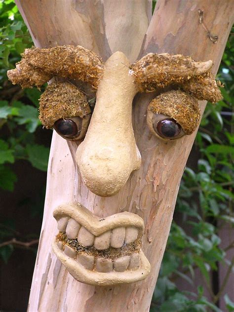 Funny Tree Face By Charmaine Redbubble