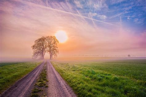 landscape-nature-morning-dawn-sun-road-trees-field-fog-wallpaper-1920x1280-364884-wallpaperup