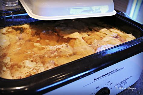 As a suggestion, you can coat the chicken with a tablespoon of olive oil, and season it with salt, pepper, garlic this site has some recipes for cooking chicken in a toaster oven. roaster oven recipes for a crowd