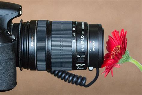 How To Do Macro Focus Stacking For Sharper Photos
