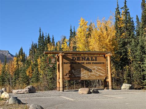 Visiting Denali National Park with Dogs - Pencil Treks
