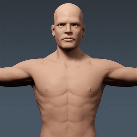 Did a miniguide of male anatomy for a friend. Human Male Body and Circulatory System - Anatomy 3d model - CGStudio
