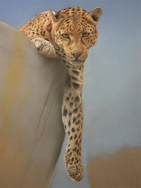 15 Realistic Pastel Paintings Of Animals From Eric Wilson Animaux
