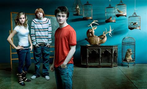 Fondos De Pantalla Harry Potter Daniel Radcliffe Emma Watson Rupert