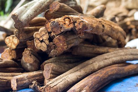 Ayahuasca Residue Found in 1,000-Year-Old Drug Pouch