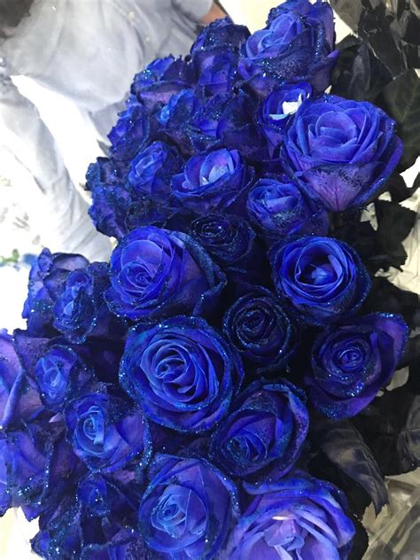 Blue Roses Blue And White Roses Purple Roses Blue Flowers Beautiful
