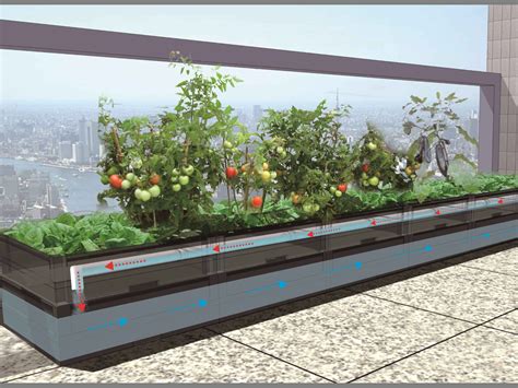 Sustainable Planter Box With Water Container Save Water And Nourish