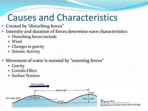 Furthermore, the characterization of longitudinal waves is by wave motion being parallel to particle motion. PPT - Ocean Currents, Waves, and Tides Chapter 11 & 12 ...