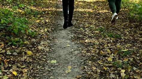 秋天 在城市公园里和宠物狗一起散步 训练一只杰克罗素梗犬mov4k视频素材下载 编号4928768 潮点视频