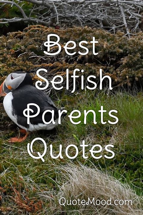 The realistic vision recognizes the need for strict moral education through parents, family, friends, and community because people have a dual nature of being selfish and selfless, competitive and cooperative. Inspiring Selfish Parents Quote in 2020 | Selfish parents, Selfish parent quotes, Parenting quotes