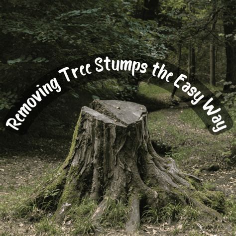 Tree Stump Removal The Lazy Way Dengarden