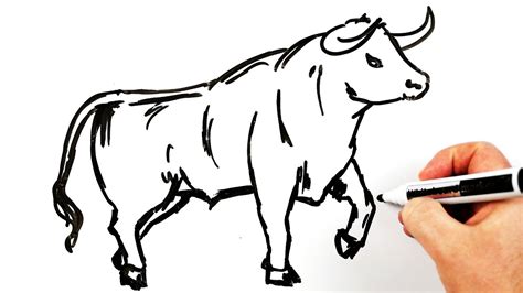 How To Draw A White Bull Easy Drawing On A Whiteboard Youtube