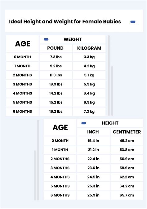 Height And Weight Conversion Chart Templates In Illustrator Pdf
