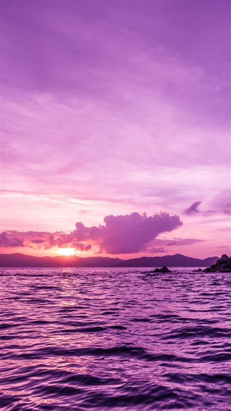 Обои Пеликаны острова закат пурпурный Pelican Island Sunset