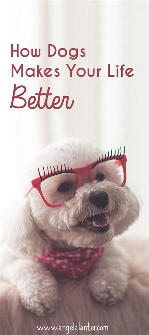 How Dogs Make Your Life Better Hello Gorgeous By Angela Lanter
