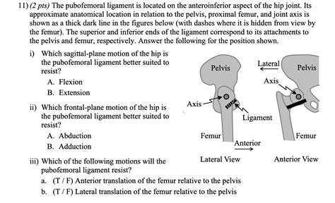 Solved 11 2 Pts The Pubofemoral Ligament Is Located On