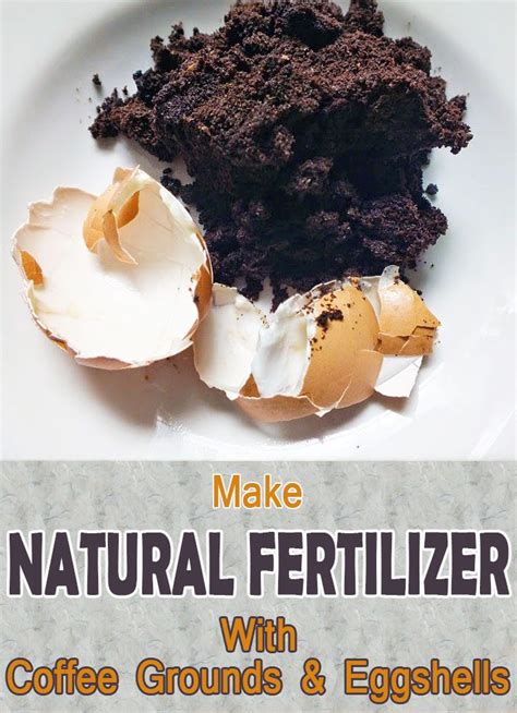 But if you want to try it as a way to. Quiet Corner:Fertilize Your Plants With Coffee Grounds and ...