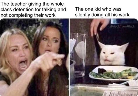 Best Woman Yelling At Cat Memes 28 Of The Funniest Examples Ever