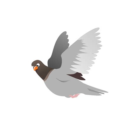 Flying Pigeons Png And Clipart 9a7