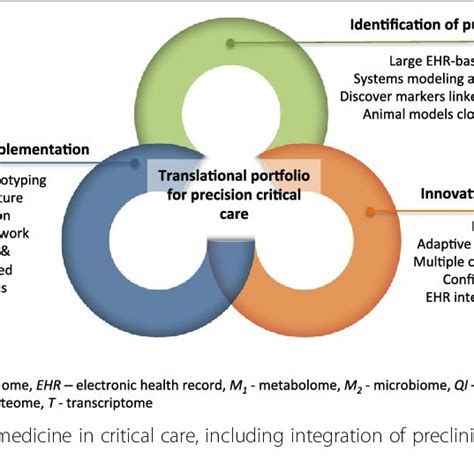 Pdf Precision Medicine For All Challenges And Opportunities For A
