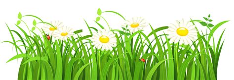 Grass Vector Png Image For Free Download