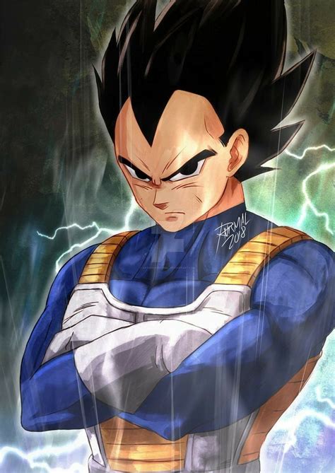 The only rule this time is that i will only put each character one time on this list, because if i vegeta didn't appear a lot in dragon ball gt but still managed to close the huge power gap between him and goku in the final fight of the series. VEGETA (With images) | Anime character design, Dragon ball ...