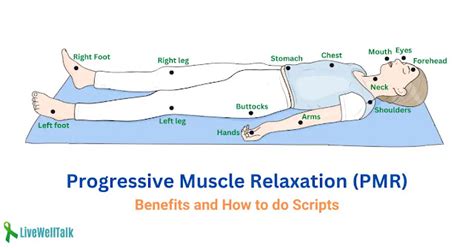 Quick Progressive Muscle Relaxation Script