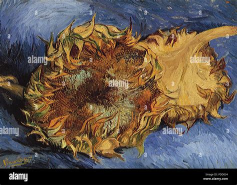 Sunflowers Van Gogh Vincent Willem 1887 Stock Photo Alamy