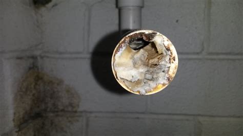 Put the tip of the vacuum hose to the end of the drain line so they overlap if possible. Clogged AC drain line. Get a clean and check annually from ...