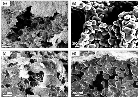 Sem Image Of The Porous Hierarchical Ceramic Structure After The