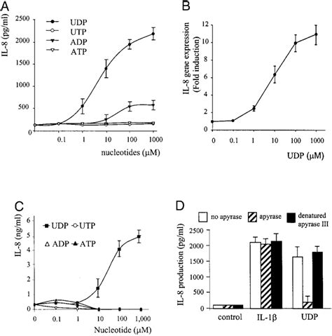 Udp Induces Il 8 Production And Il 8 Gene Expression In Thp 1 Cells A