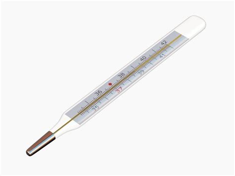 Mercury Thermometer 3d Model Cgtrader