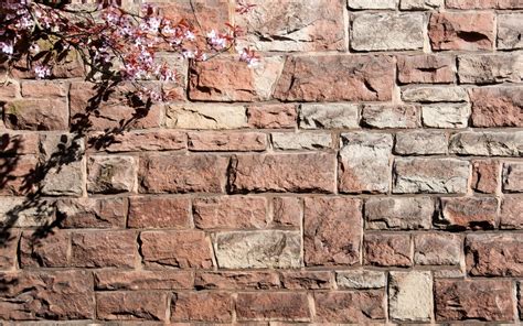 Nature Walls Bricks Wallpapers Hd Desktop And Mobile Backgrounds