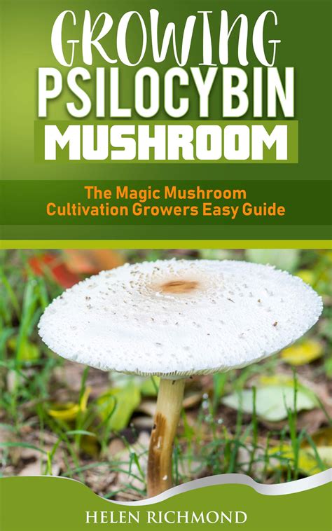Growing Psilocybin Mushroom The Magic Mushroom Cultivation Growers