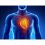 Is Your Cardiovascular System Working Overtime  Easy Health Options®