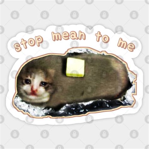 Stop Mean To Me 3 Starring Crying Cat Baked Potato Wholesome Cat Memes Memes Sticker