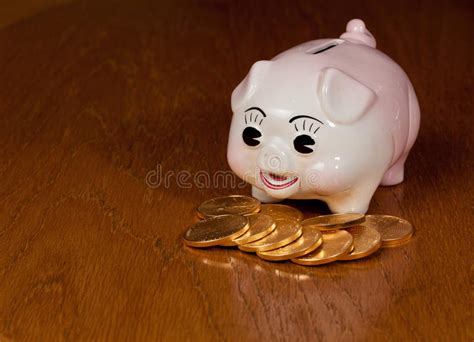 Piggy Bank With Gold Coins Stock Photo Image Of Eagle 22479718