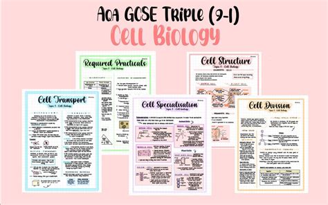 Biology Aqa Gcse Cell Biology Revision Notes Etsy Uk