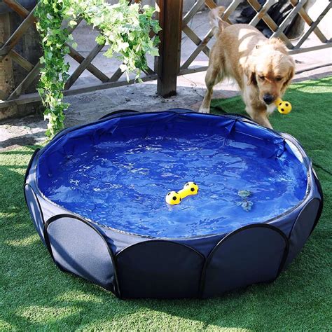 10 Best Dog Pools To Keep Your Pet Cool This Summer Updated