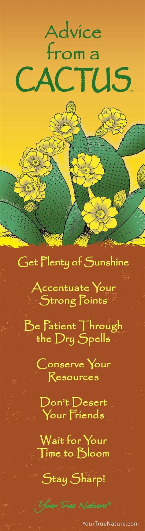 Advice From A Cactus Frameable Art Postcard Your True Nature Inc