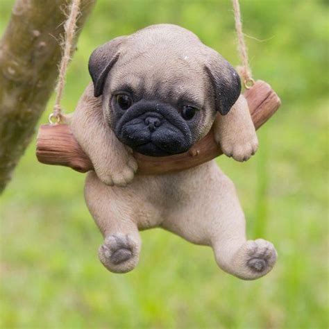 Hanging Pug Puppy Statue Perros Pug Perro Pug Bebes Perros Bonitos