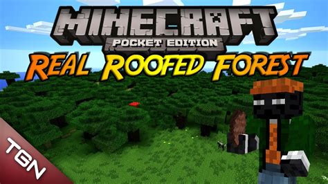 Real Roofed Forest Minecraft Pe Biomas Textura Español Youtube