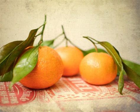 If you are a photographer, any small thing can captivate you and that's the best time to get those wonderful shots you have been looking for. Still Life Fruit Photography Orange wall art by LupenGrainne