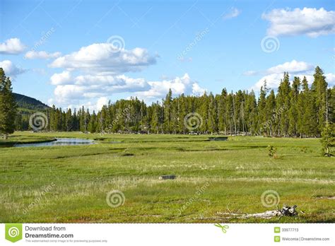 Wyoming Summer Scenery Stock Image Image Of Treeline 33977713