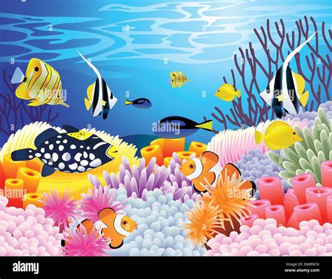 Sea Life Background Stock Vector Image And Art Alamy