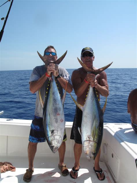Yellowfin Tuna Florida Sportsman