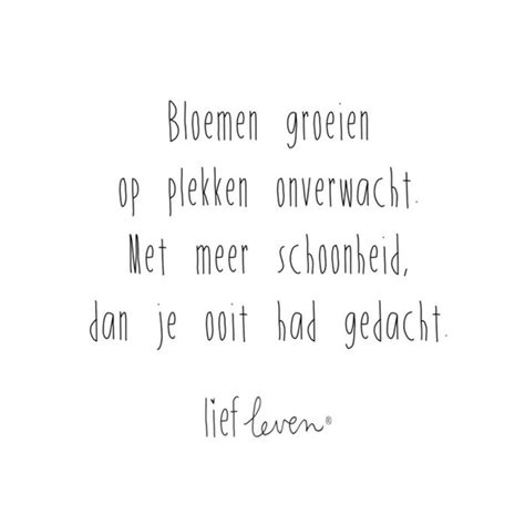 Lief Leven Quote Schoonheid Greetz