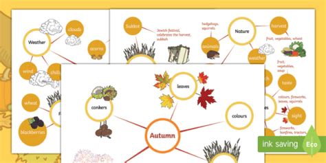 Differentiated Autumn Concept Maps Worksheet Worksheet Worksheet