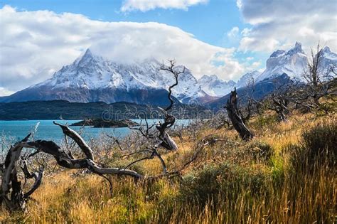 In The Torres Del Paine National Park Patagonia Chile Lago Del Pehoe